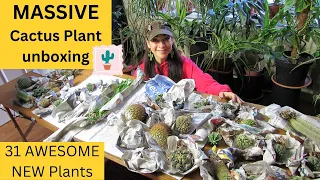 MASSIVE Cactus Plant Unboxing | 31 INCREDIBLE new Plants #cactus #cacti
