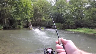 Small CREEK TROUT Fishing (LOADED with Trout!)