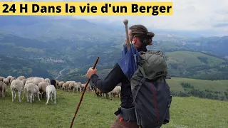 24H dans la vie d'un Berger en Haute Montagne 😁🐑🏔