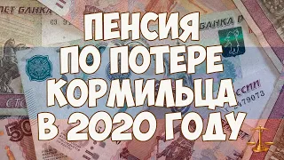 Пенсия по потере кормильца в 2020 году