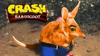 Crash Bandicoot Real Life