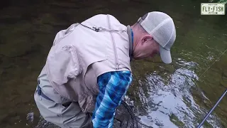 Fly Fishing - Allegheny National Forrest Region