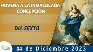 Inmaculada Concepción Novena l Dia 6 l Padre Carlos Yepes