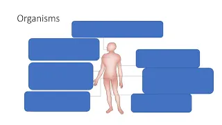 Principles of Antibiotic Use in Surgery - Dr Ge (Gemma) Xu - NMSS/RMOA Lecture Series