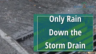 Only Rain Down the Storm Drain