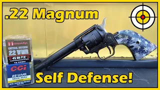 .22 Magnum Hornady Critical Defense vs CCI Maxi-Mag! Ballistic Gel Test With a Heritage Rough Rider!