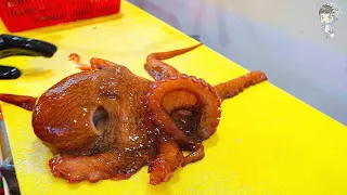 KOREAN STREET FOOD OCTOPUS DEVIL FISH KOREA SEAFOOD MARKET 포항 송도활어회센터 문어 090122