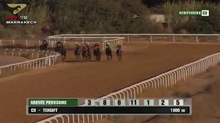 Live Hippodrome « Marrakech » | Courses du « 12/11/2019 »