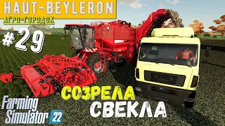 Farming Simulator 22 с чего начать уборку свеклы, строительство сахарного завода #29 часть