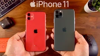 iPhone 11 and 11 Pro - One Week Later!!