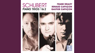 Piano Trio No. 1 in B-Flat Major, Op. 99, D. 898: I. Allegro moderato