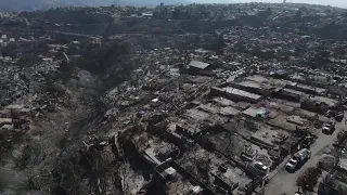 How climate change made Chile's wildfires so deadly | REUTERS