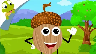 I Am a Nut Poem 2024 - New Nursery Rhyme Songs 2024 - Cartoons for Babies - English Learning Poems