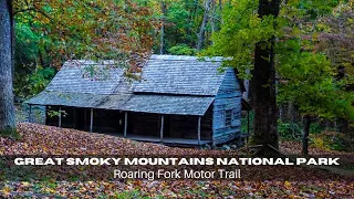 Great Smoky Mountains National Park | Roaring Fork Motor Trail