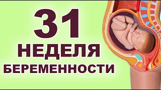 Что происходит с ребенком и мамой на 31 неделе беременности? 7 месяц беременности. Третий триместр.