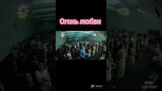 Огонь Любви! Юлия Салтаненко #Слово_Божие_Салтаненко