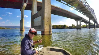 A DEADLY Way To Fish Bridges! (Never Know WHAT Will Bite!)