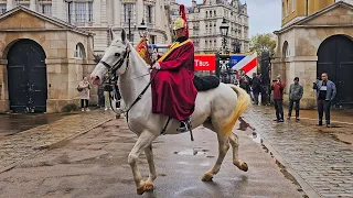 A MAGNIFICENT Grey ridden by The King's Guard on a rainy Horse Guards morning.