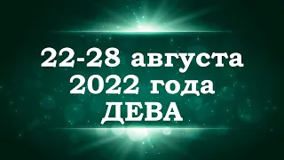 ДЕВА | Таро прогноз на неделю с 22 по 28 августа 2022 года