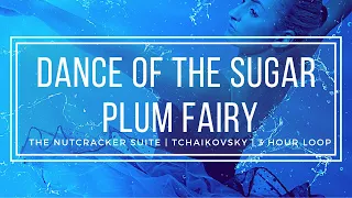 Dance of the Sugar Plum Fairy | Tchaikovsky Nutcracker | 3 Hour Version
