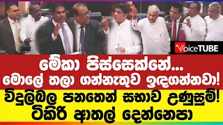 මේකා පිස්සෙක්නේ... මොලේ තලාගන්නැතුව ඉඳගන්නවා! විදුලිබල පනතෙන් සභාව උණුසුම් !