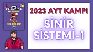 Sinir Sistemi-1.Bölüm AYT Biyoloji Kampı Konu Anlatımı/ 11.Sınıf 2024 Tayfa