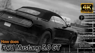 Ford Mustang 5.0 GT Running wild on the Autobahn - Insane V8 Sound! [4k]