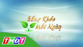 Phòng chống bệnh sốt xuất huyết dựa vào cộng đồng (21/6/2020) | Sống khỏe | THDT