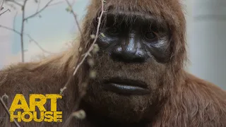 Bigfoot Lives (sort of) | Big Fur