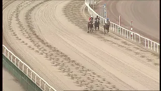 Kvallopp 2 | Jägersro Galopp 11 april 2024