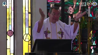 Homily By Fr Jerry Orbos SVD - April 18 2021,  3rd Sunday of Easter 