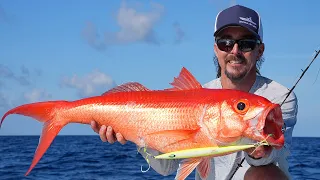 FIRST DROP! Slow Pitch Jigging Deep Water Queen Snapper! (Catch/Clean/Cook)