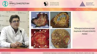 Оценка лечебного патоморфоза при немелкоклеточном раке легкого (Кушнарев В.А.)