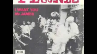 T-Boones - I want you (freakbeat punk mayhem)