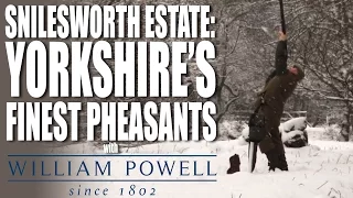 Snilesworth Estate - Pheasants on a Grouse moor