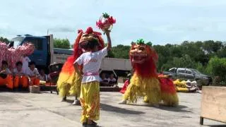 古达观音庙北狮表演