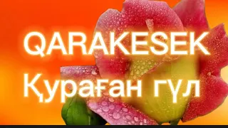 Qarakesek - Қураған гүл remix |MOOD