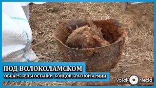 Под Волоколамском обнаружены останки  бойцов Красной армии