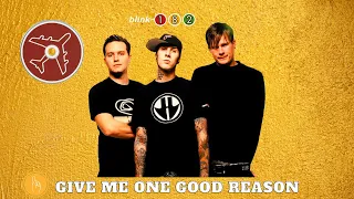 blink-182 - Give Me One Good Reason (Acoustic Cover)