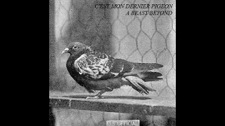 1914 - C'est Mon Dernier Pigeon | Black / Death vocal cover