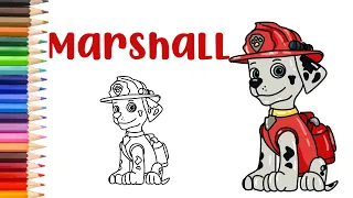 How to Draw Marshall PAW Patrol Easy || Easy Step By Step Drawing Tutorial