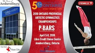 Friday - P-Bars (Men's) - 2018 Ontario Championships - M.A.G.