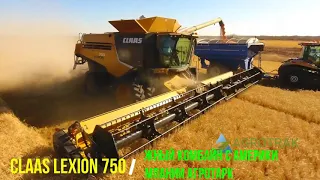 Комбайн LEXION 750 с Америки