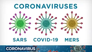 Coronavirus: What does COVID-19 do to your body and why does it spread so easily?