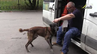 Малинуа Фокс, Спокойное упражнение на хватку без нагрузки для фигуранта