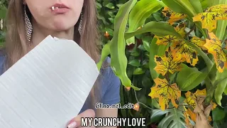 {ASMR}🍐|MY CRUNCHY LOVE| edit/ crunch/Glina.mel_edit/ плитка/ хруст/ едит/