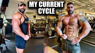 My Cycle, Diet, And Training For My Offseason Bulk | What I'm Taking