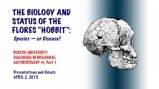 Boston University Dialogues in Biological Anthropology: The Flores Island “Hobbit” — Part 1