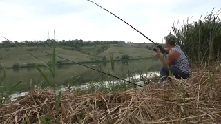 РЫБАЛКА В АВГУСТЕ. Ловля карася и карпа на донку.