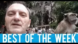 Don't Play With Monkey And Other Fails! Best fails of the week! February 2018! Week 1!